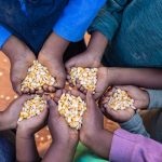 The Power of Kindness: How Small Acts Can Make a Big Difference in Achieving OneMillionLeadersAfrica’s(OMLA) Vision